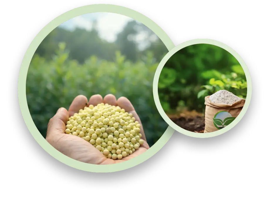 شرکت خاوران کود پردیس توس | تولیدکننده کود گوگرد گرانوله و پودر مش ۲۰۰