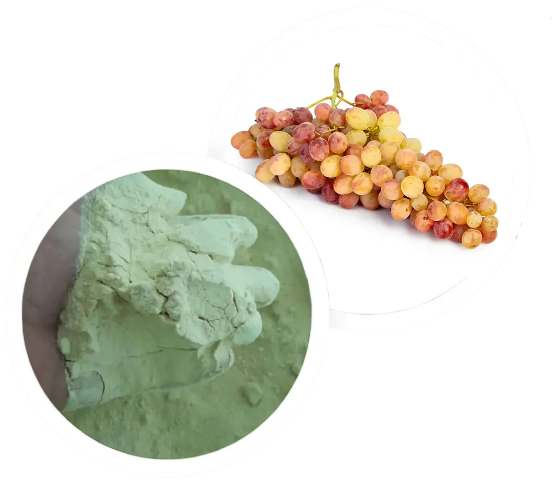 گوگرد پودری مش ۲۰۰ | مناسب کشاورزی و عرضه عمده فله و جامبوبگ